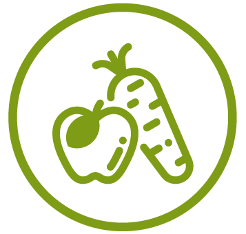 Dr. Ethno - Vegetarisch